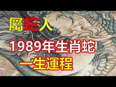 1989 屬|1989年出生的属什么,1989年是什么生肖